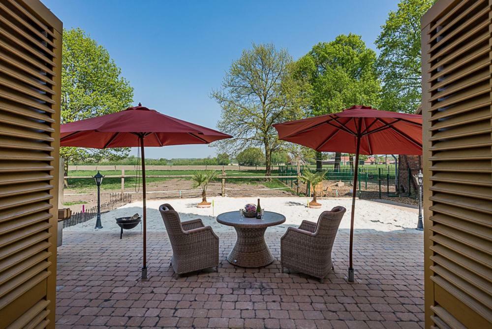 Ferienwohnungen Und Zimmer Hof Holtmann Munster  Exterior photo